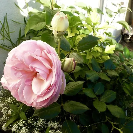 B&B Batignolles Oda ve Kahvaltı Paris
