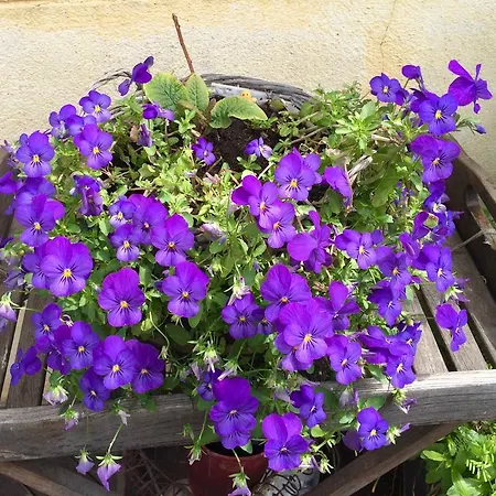 Bed and breakfast B&B Batignolles